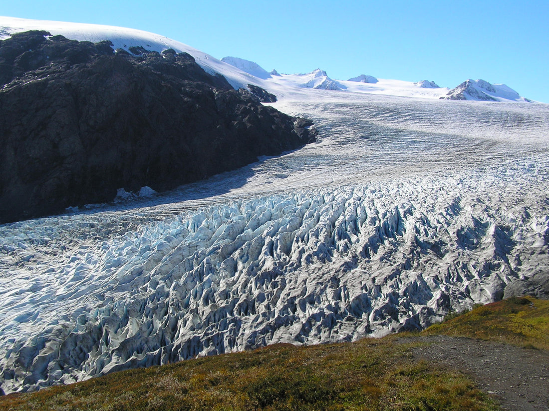 Kenai Fjords National Park Itinerary
