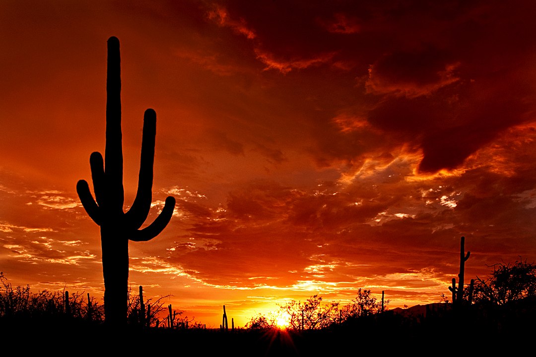Saguaro National Park Itinerary