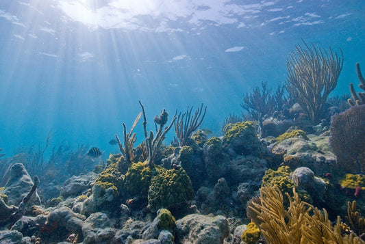 Biscayne National Park Itinerary