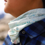 national park map neck gaiter buff